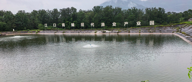 640.jpg